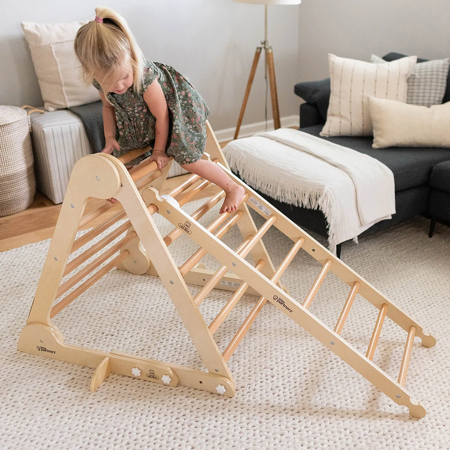 Climbing Ladder