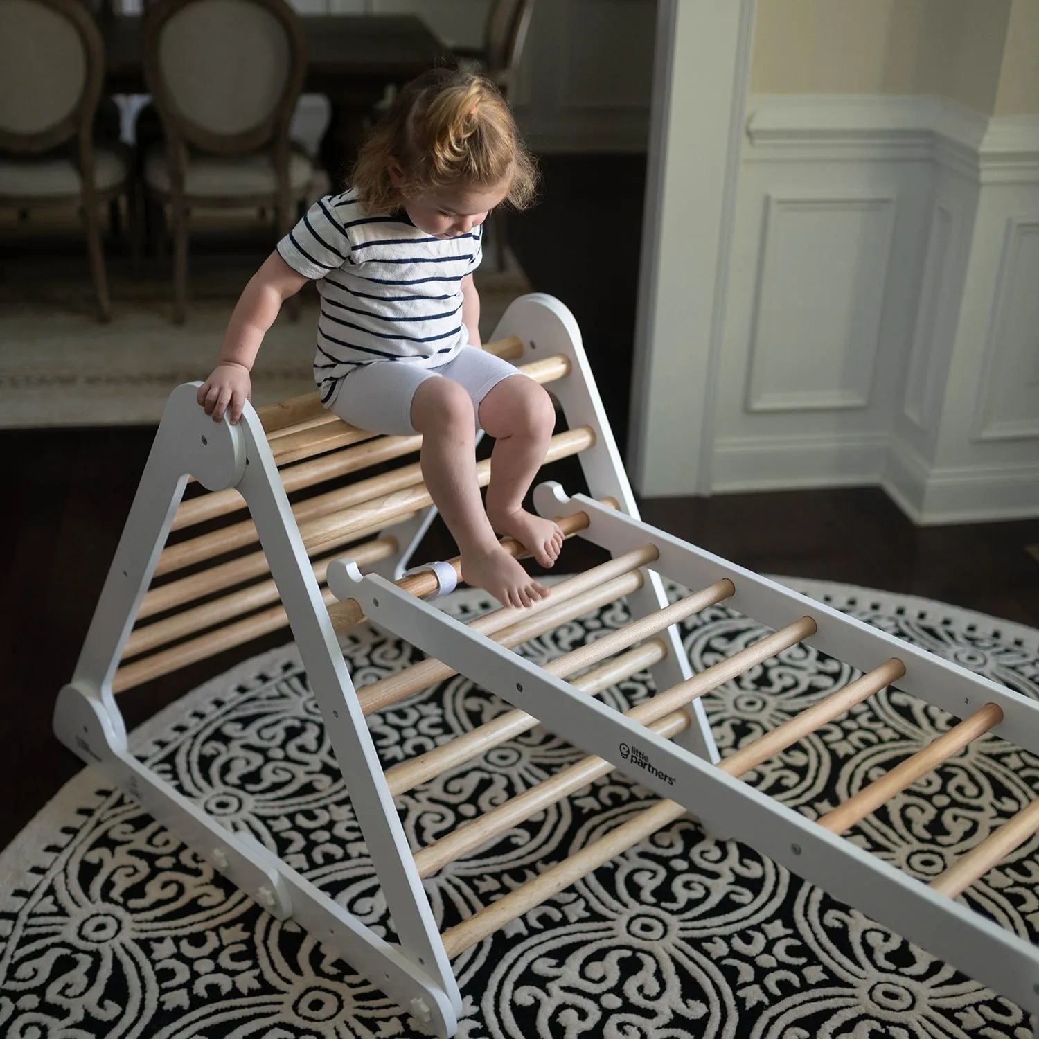 Climbing Ladder