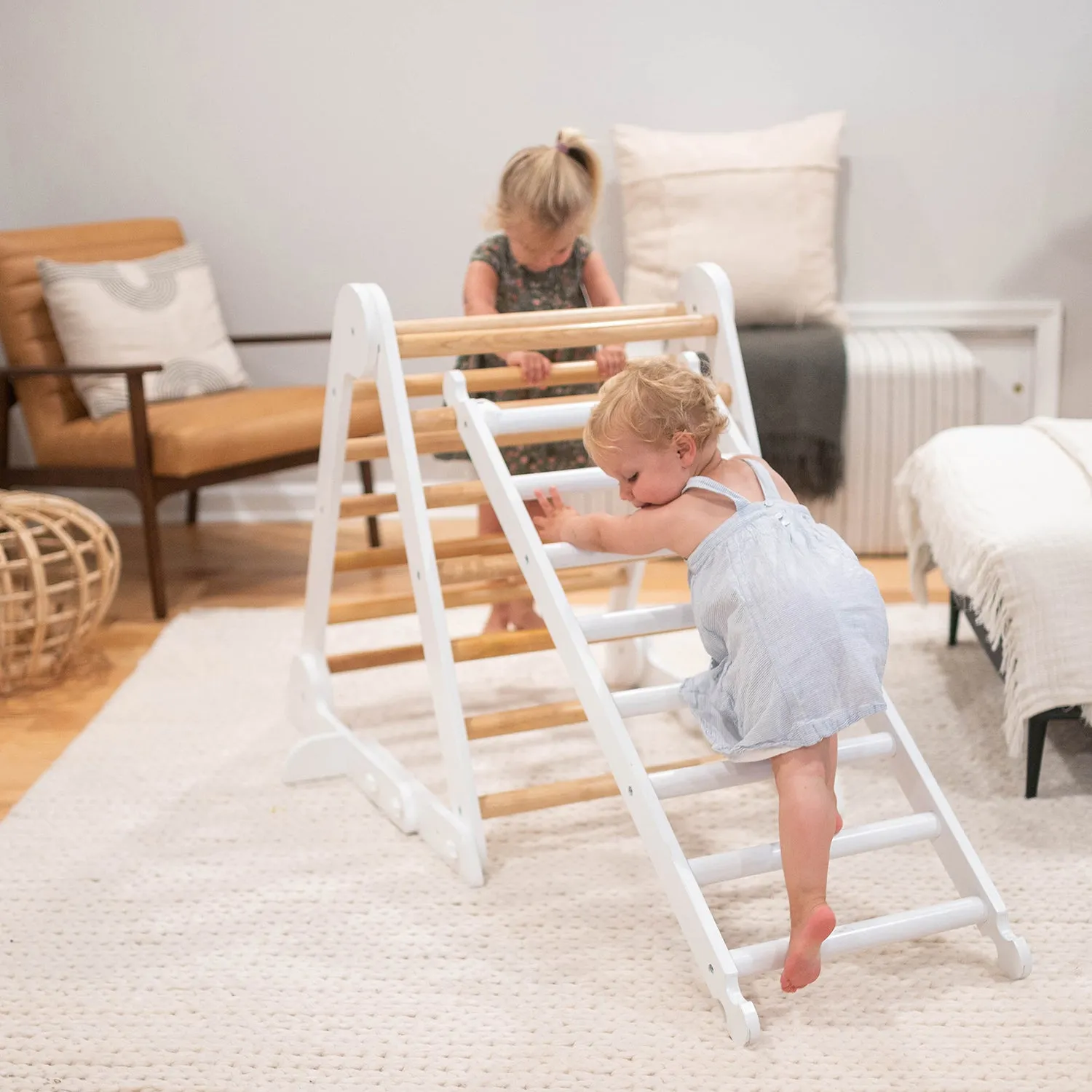 Climbing Ladder