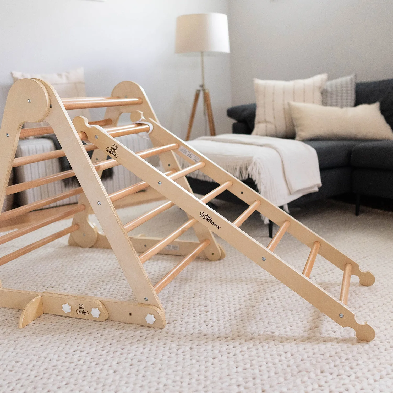 Climbing Ladder