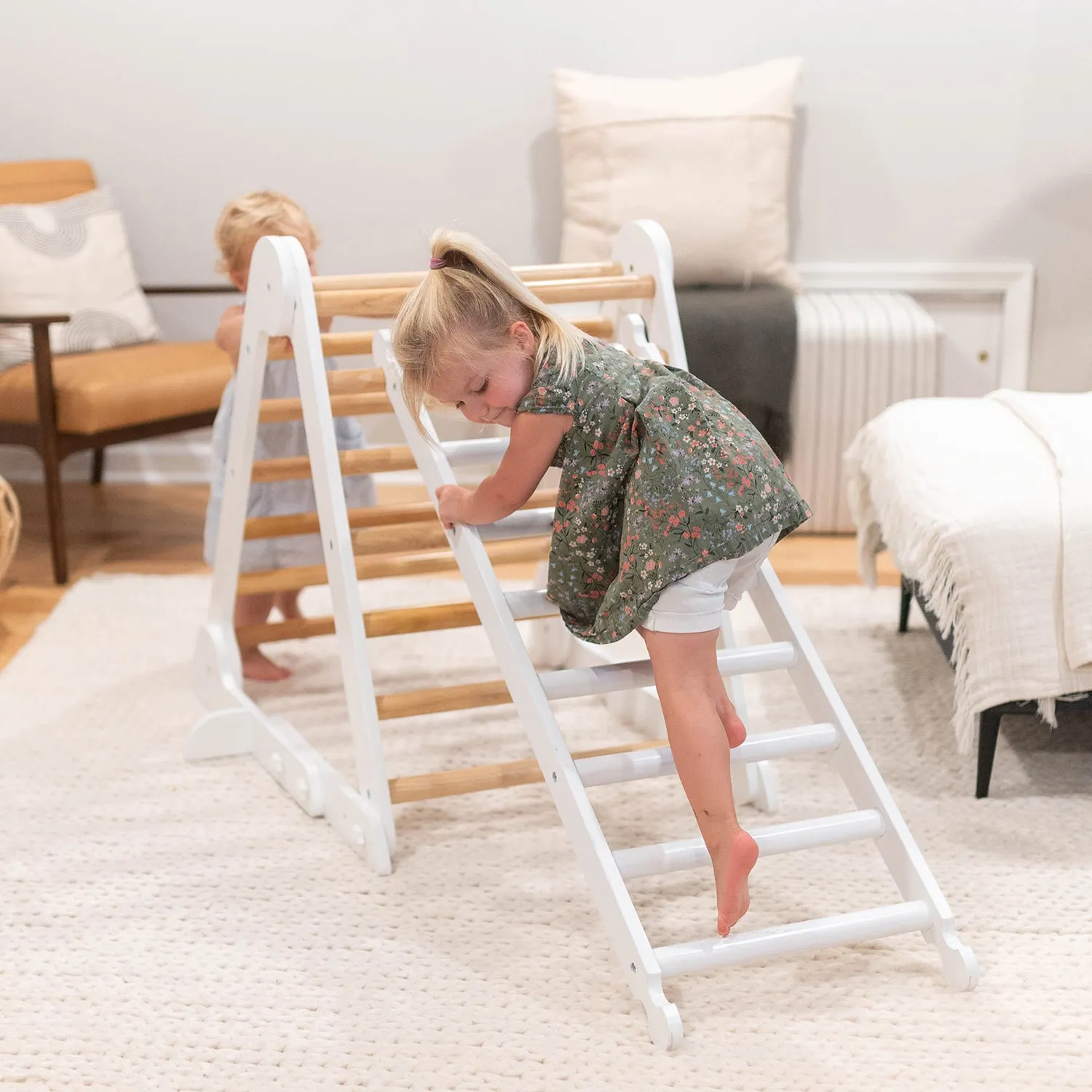 Climbing Ladder