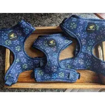 Finnigan's Stylish Paws Up Harness