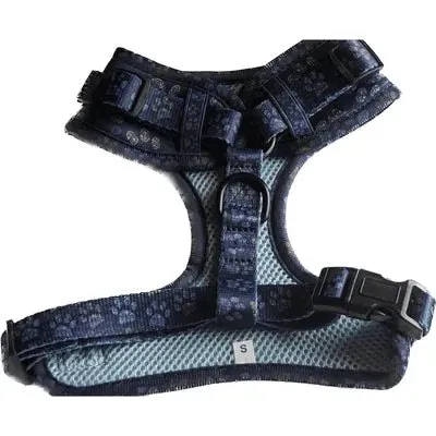 Finnigan's Stylish Paws Up Harness