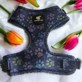 Finnigan's Stylish Paws Up Harness