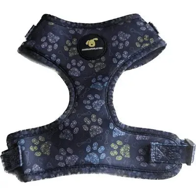 Finnigan's Stylish Paws Up Harness